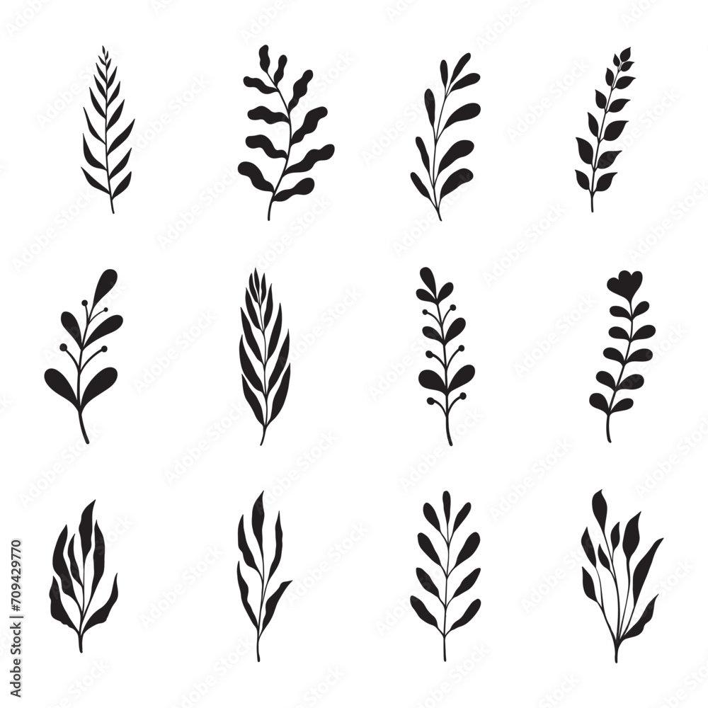 Set of leaf silhouette hand drawn vector	