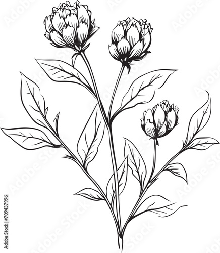 Whispers of Nature Vector Logo  Black Botanical Florals Floral Harmony Black Vector Logo with Botanical Elegance