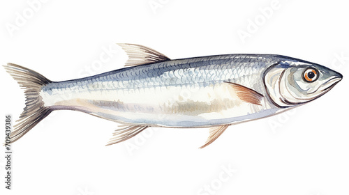 herring isolated on white background watercolor illustration