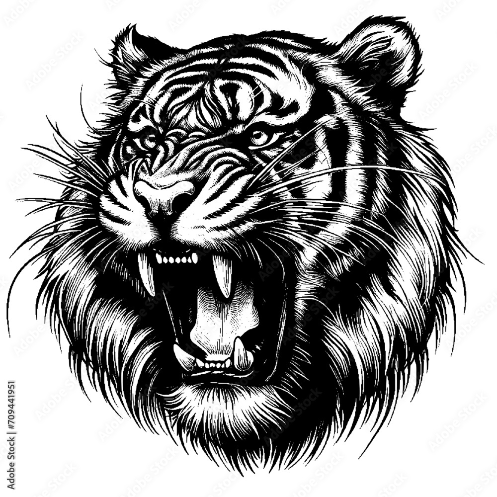 Portrait of roaring tiger. Hand Drawn Pen and Ink. Vector Isolated in White. Engraving vintage style illustration for print, tattoo, t-shirt, coloring book Portrait of roaring tiger. Hand Drawn Pen and Ink. Vector Isolated in White. Engraving vintage style illustration for print, tattoo, t-shirt, coloring book
