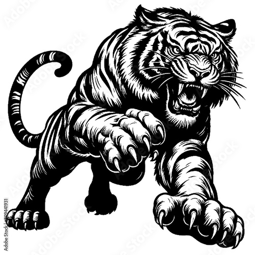 Full body portrait of tiger attacking. Hand Drawn Pen and Ink. Vector Isolated in White. Engraving vintage style illustration for print, tattoo, t-shirt, coloring book