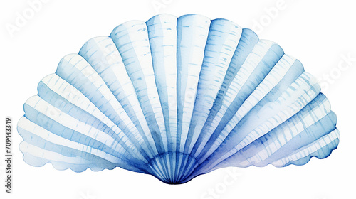 illustration of underwater life object. blue sea shell photo