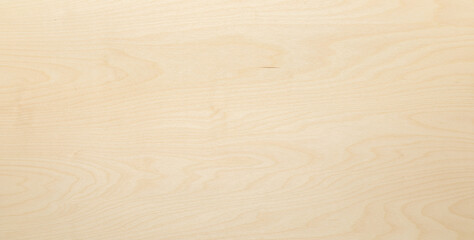 Texture background. High key birch wood plank natural texture, plank texture background, plank tabletop background.	