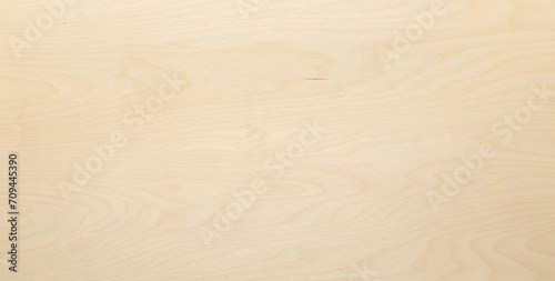Texture background. High key birch wood plank natural texture, plank texture background, plank tabletop background. 