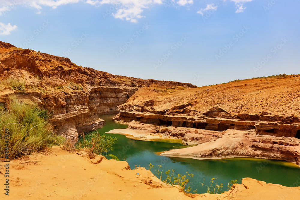 Desert Landscape Background