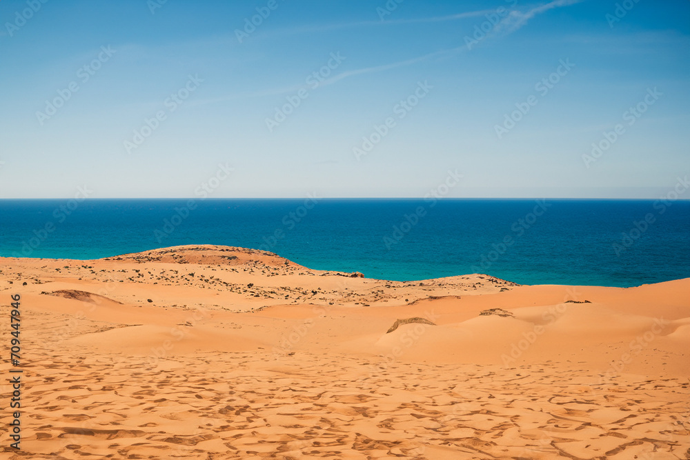 Desert Landscape Background