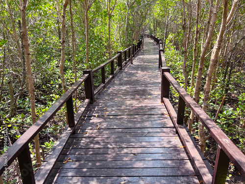 Closeup wooden bridge in the middle of mangrove forest  Petchaburi  Thailand.