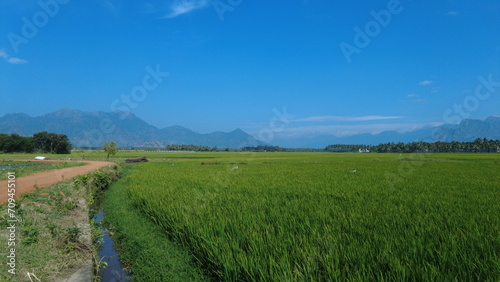 Nanjinaad paddy field and western ghats mountain range kanyakumari  Tamil Nadu