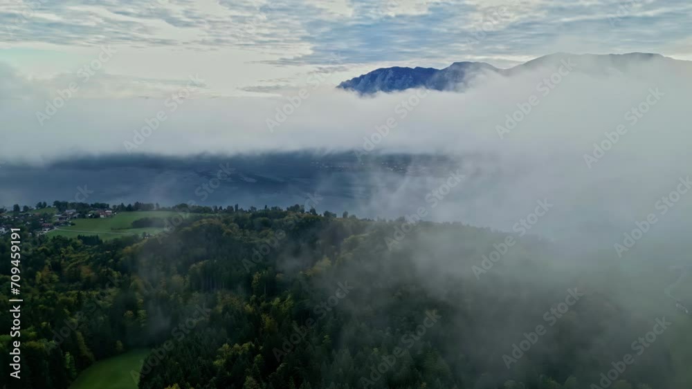 Forest and mountains with thick fog, aerial drone view