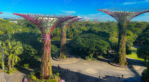 Gardens by the Bay and beautiful plants