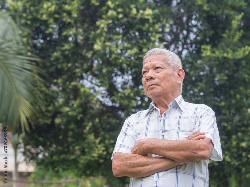 An elderly Asian man is posing in the garden, standing with her arms crossed and looking up to the sky. An elderly Asian man is posing in the garden, standing with her arms crossed and looking up to the sky.