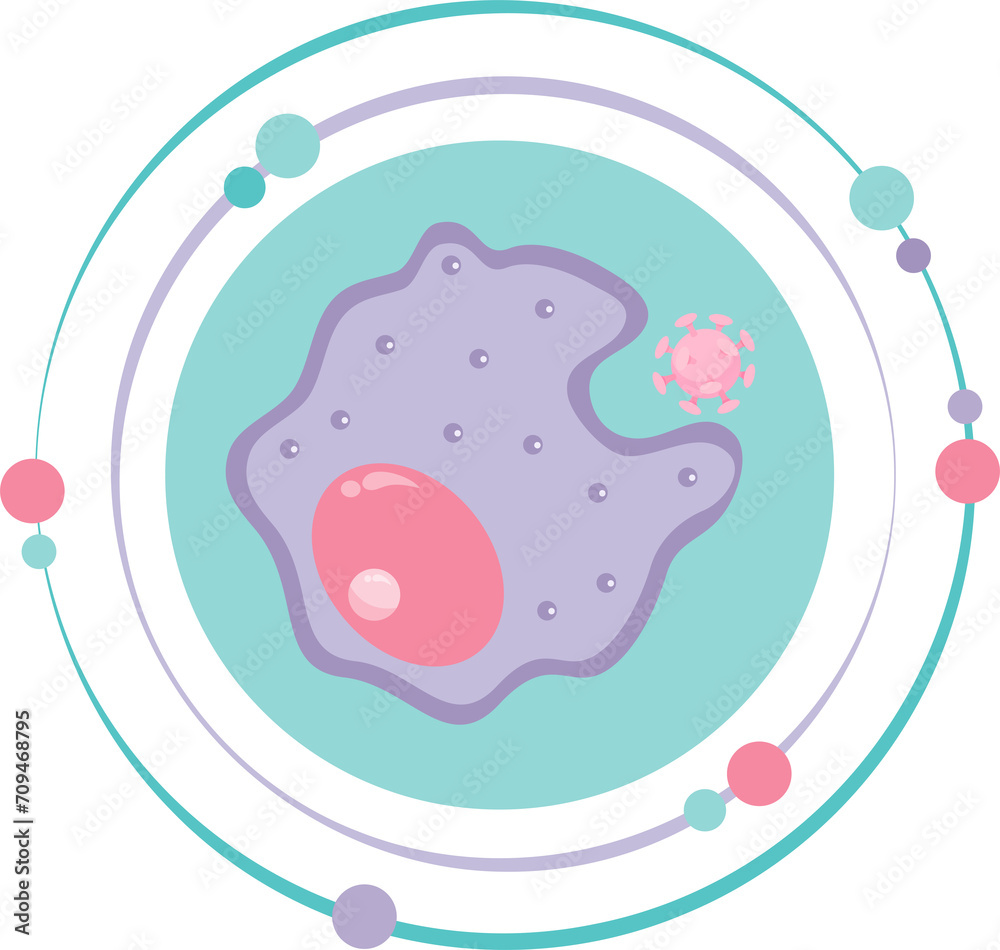 Macrophage monocyte white blood cell graphic icon symbol Macrophage monocyte white blood cell graphic icon symbol