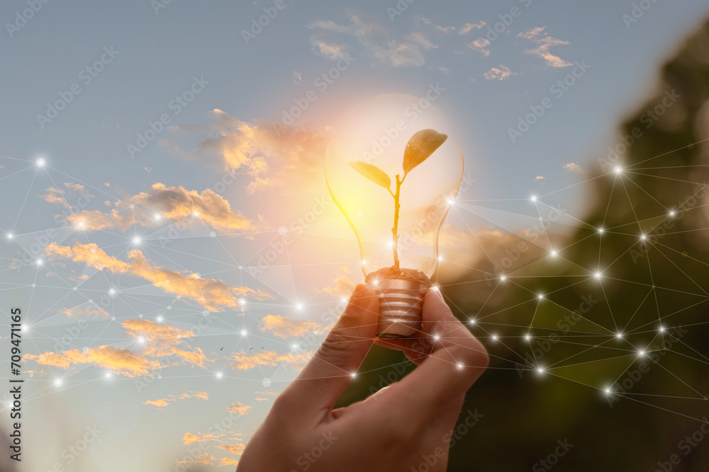 A hand is holding a light bulb with a plant growing out of it. The light bulb is lit by the sun, plant is growing out of it. - obrazy, fototapety, plakaty 