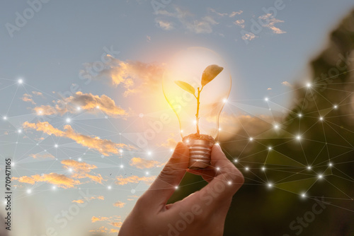 A hand is holding a light bulb with a plant growing out of it. The light bulb is lit by the sun, plant is growing out of it. #709471165