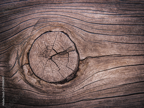 Textura madera