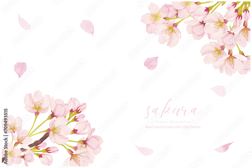 水彩で描いた桜のイラスト
