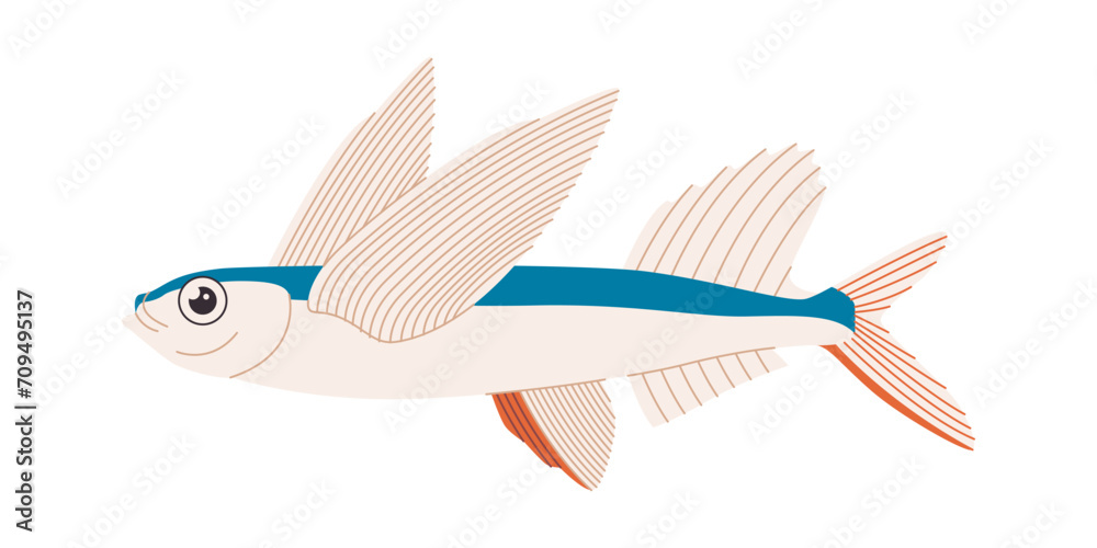 flying fish with white and blue color wild nature undersea animal marine wildlife flying fish with white and blue color wild nature undersea animal marine wildlife