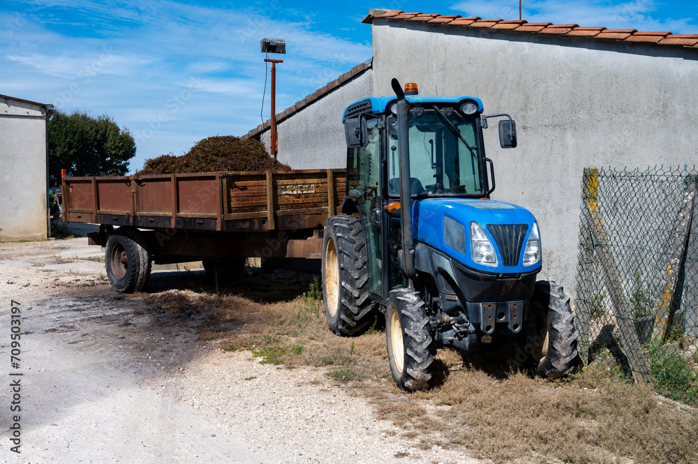 Harvest equipment and works in Saint-Emilion wine making region on right bank of Bordeaux, picking, sorting with hands and crushing Merlot or Cabernet Sauvignon red wine grapes, France Harvest equipment and works in Saint-Emilion wine making region on right bank of Bordeaux, picking, sorting with hands and crushing Merlot or Cabernet Sauvignon red wine grapes, France