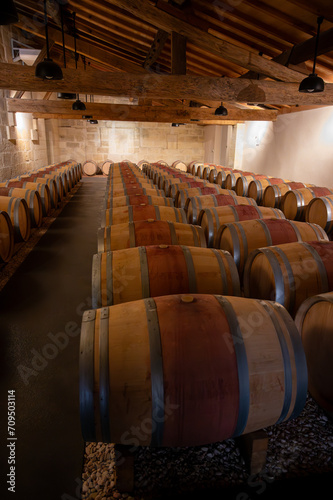 French oak wooden barrels for aging red wine in cellar, Saint-Emilion wine making region picking, sorting with hands and crushing Merlot or Cabernet Sauvignon red wine grapes, France, Bordeaux photo
