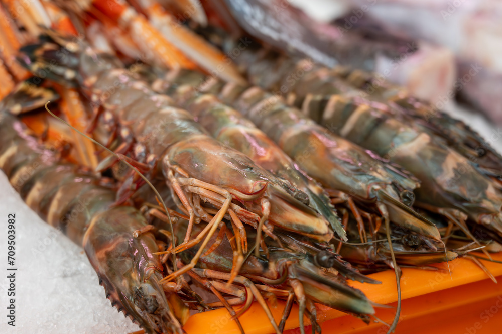 Assortment of fresh daily catch of prawns, shrimps, fishes, seashells, molluscs on ice on fish market in France Assortment of fresh daily catch of prawns, shrimps, fishes, seashells, molluscs on ice on fish market in France