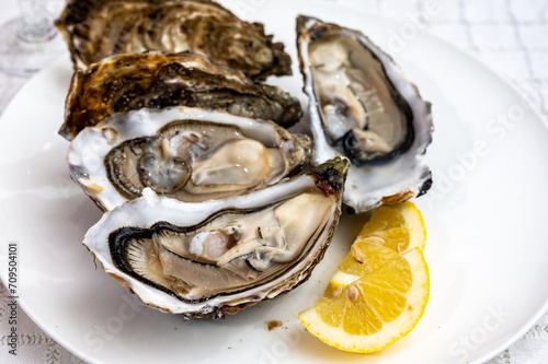 Fresh big french, dutch, pacific or japanese oysters molluscs, size number 1, served with fresh lemon, raw sea food