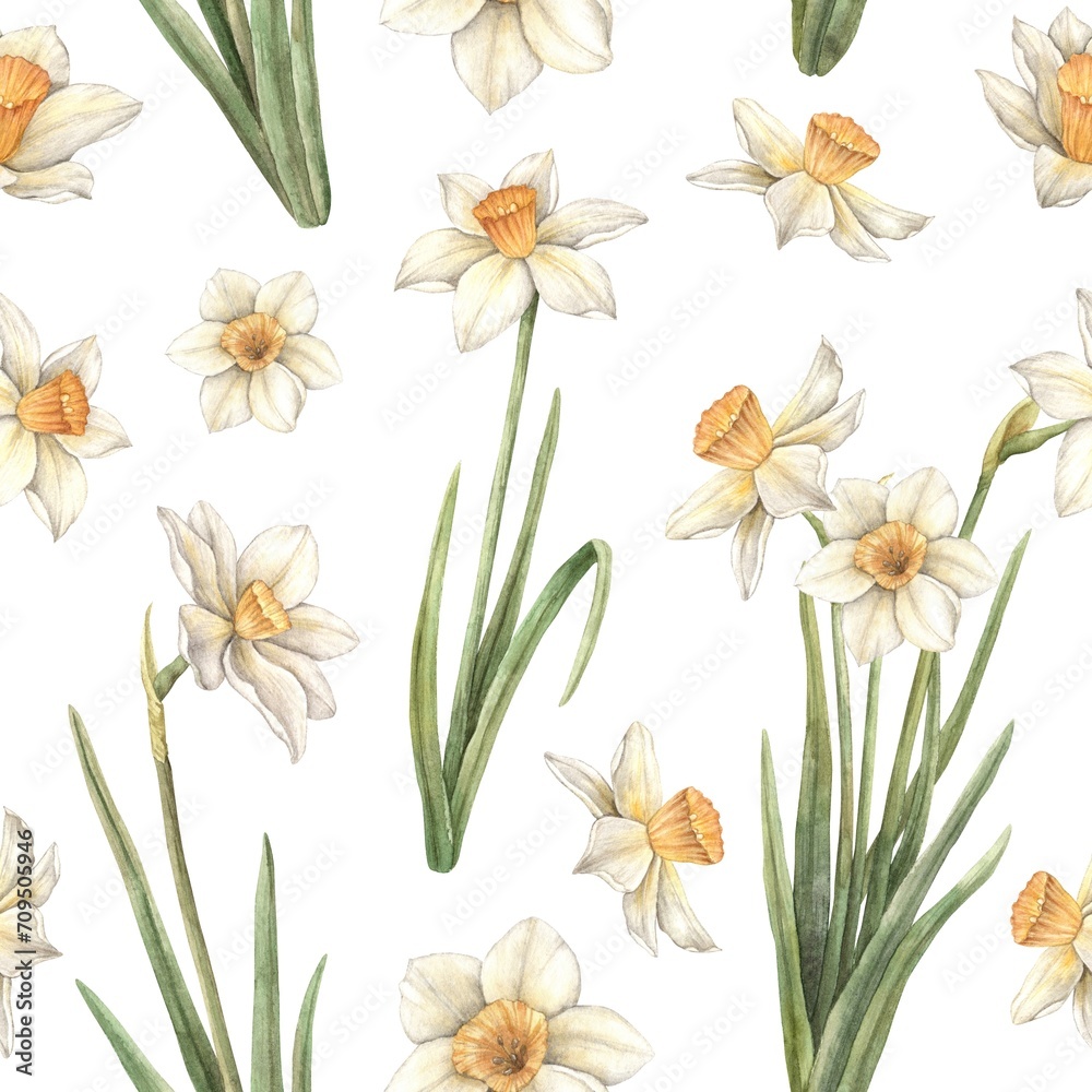 Obraz premium Watercolor pattern on a white background with yellow beautiful daffodils. Easter holiday illustration hand drawn. Sketch on isolated background for greeting cards, invitations, happy holidays, posters