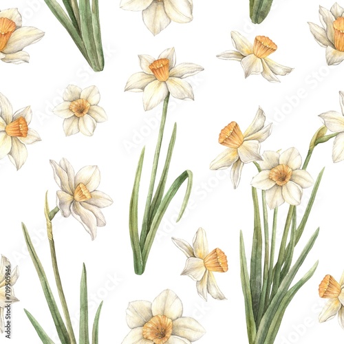 Watercolor pattern on a white background with yellow beautiful daffodils. Easter holiday illustration hand drawn. Sketch on isolated background for greeting cards  invitations  happy holidays  posters