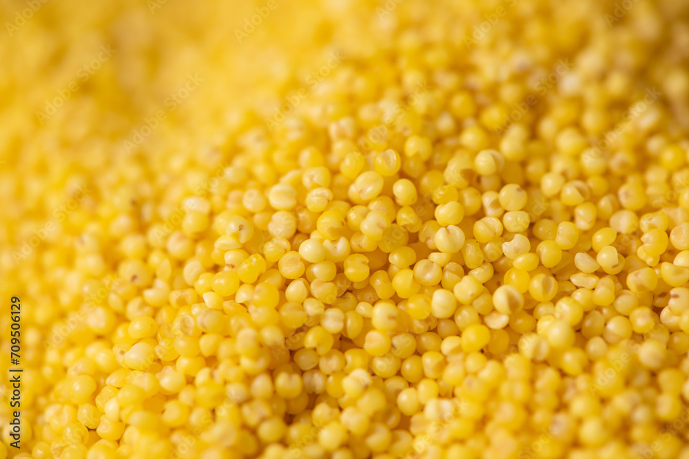 Background of raw millet seeds close up. Millet seeds texture.