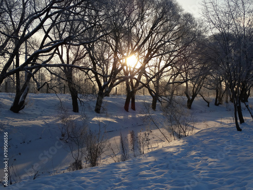  Dawn on a winter morning in a snow-covered park.
