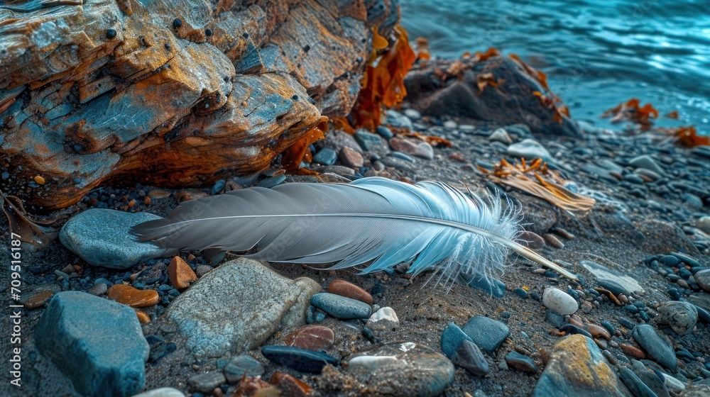 a bird's feather resting on a rocky beach next to a body of water with rocks and pebbles around it.