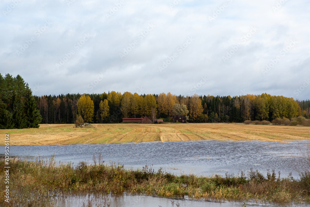 Nature disaster, water invading all the places, road blocks. Flood image.