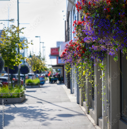 Obraz na płótnie Beautiful flowers hanging on the walls of shops in downtown Anchorage. Alaska.Vertical format. w salonie
