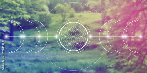 Flower of life. Tree of life. Sacred geometry spiritual new age futuristic illustration with interlocking circles, triangles and particles