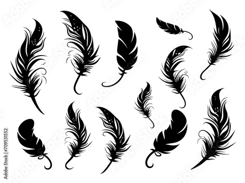 Set of detailed majestic feather collection. Bird Feather black silhouettes. Plumelet collection. Vector isolated on white