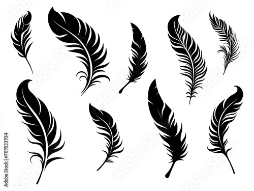 Set of detailed majestic feather collection. Bird Feather black silhouettes. Plumelet collection. Vector isolated on white