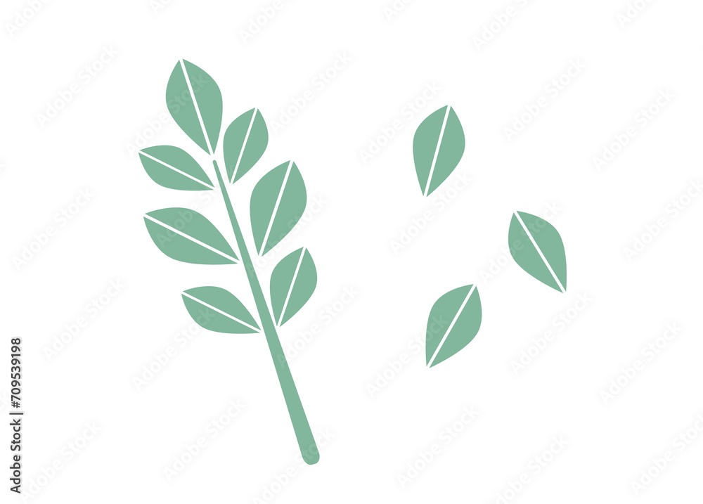 薄緑色の小枝と葉の北欧風イラストセット