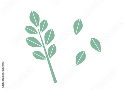 薄緑色の小枝と葉の北欧風イラストセット