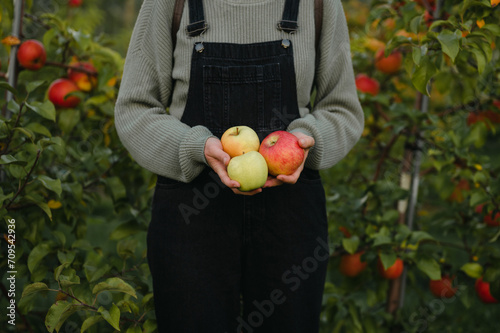 Midsection of woman holding apples while standing in apple orchard © Cavan