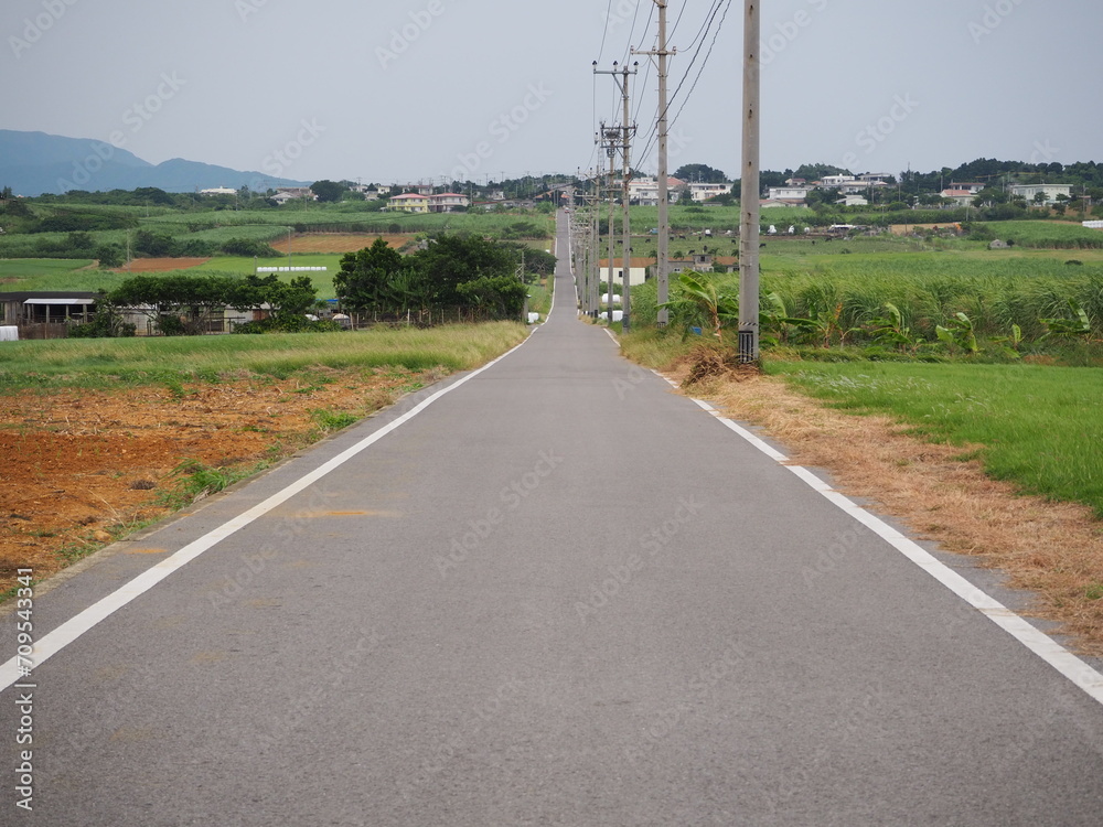 Sugar Road, across an idyllic landscape of cattle pastures and sugarcane fields Sugar Road, across an idyllic landscape of cattle pastures and sugarcane fields