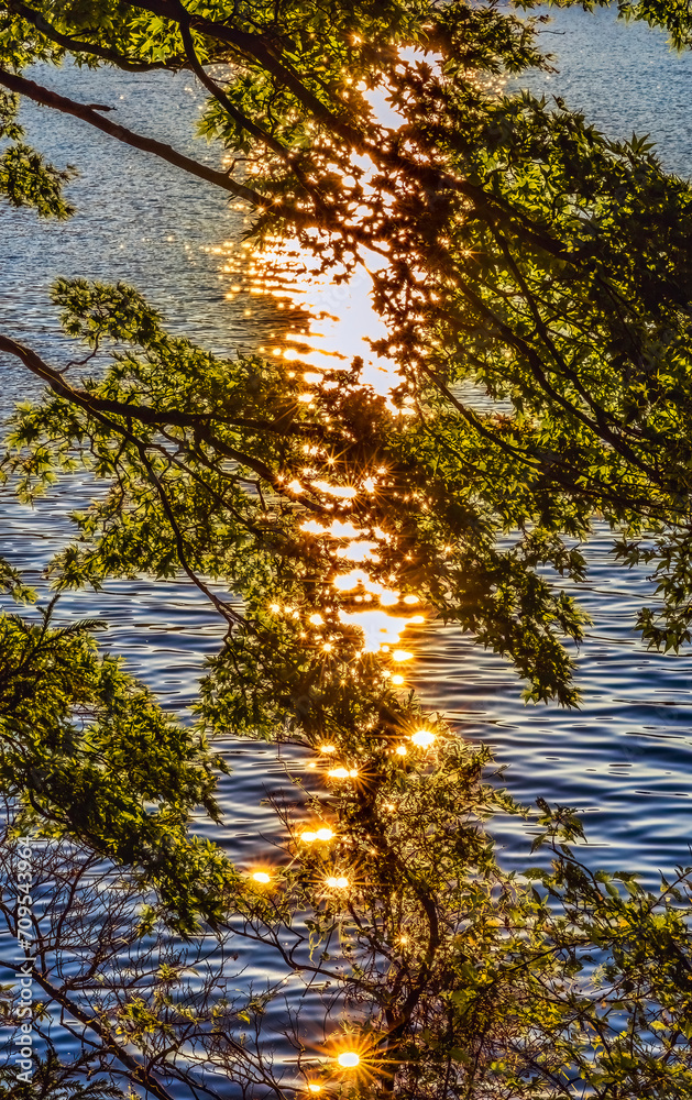 Colorful Lake Ashiniko Water Reflection Abstract Hakone Kanagawa Colorful Lake Ashiniko Water Reflection Abstract Hakone Kanagawa