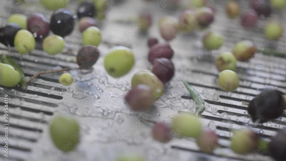 Olive Factory Close up Details in Slowmotion Olive Factory Close up Details in Slowmotion