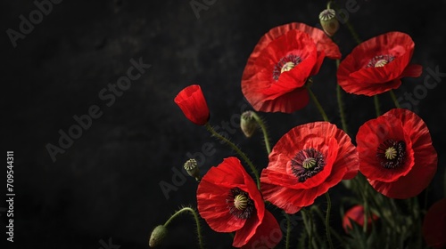 Red poppies on black background. Remembrance day concept.