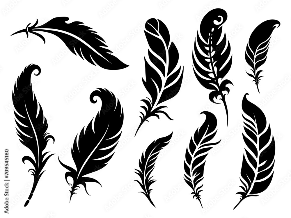 Fototapeta Set of detailed majestic feather collection. Bird Feather black silhouettes. Plumelet collection. Vector isolated on white
