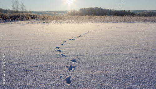 Obraz na płótnie Wintry landscape wallpaper image from Finland on a very cold winter day. Frosty nature concept image with animal tracks and flare effect added. w salonie