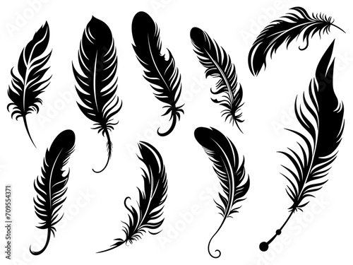 Set of detailed majestic feather collection. Bird Feather black silhouettes. Plumelet collection. Vector isolated on white