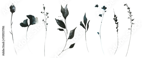 Watercolor floral set of black, gray, blue wild flowers, herbs, spikelets, branches, twigs. Traced vector drawing.