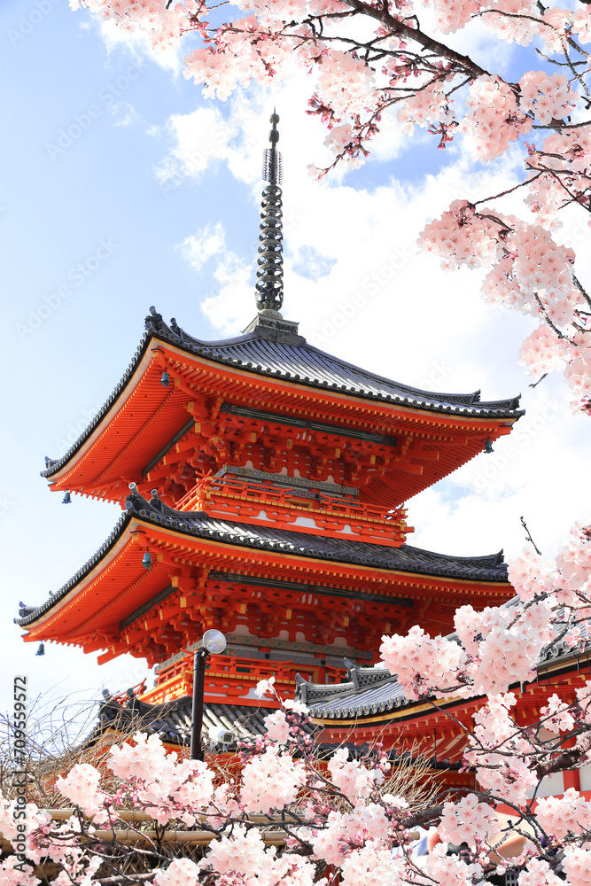Ancient pavilion and blooming sakura branches in Fushimi Inari shrine. Spring time in Kyoto, Japan. Sakura blossom season. Cherry blossoming season in Asia. Japanese hanami festival Ancient pavilion and blooming sakura branches in Fushimi Inari shrine. Spring time in Kyoto, Japan. Sakura blossom season. Cherry blossoming season in Asia. Japanese hanami festival