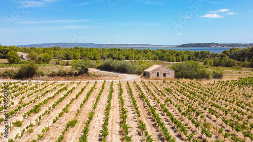 Paysages de Provence, Occitanie, Méditerranée, oliviers, Méditerranée, amandes, vignes