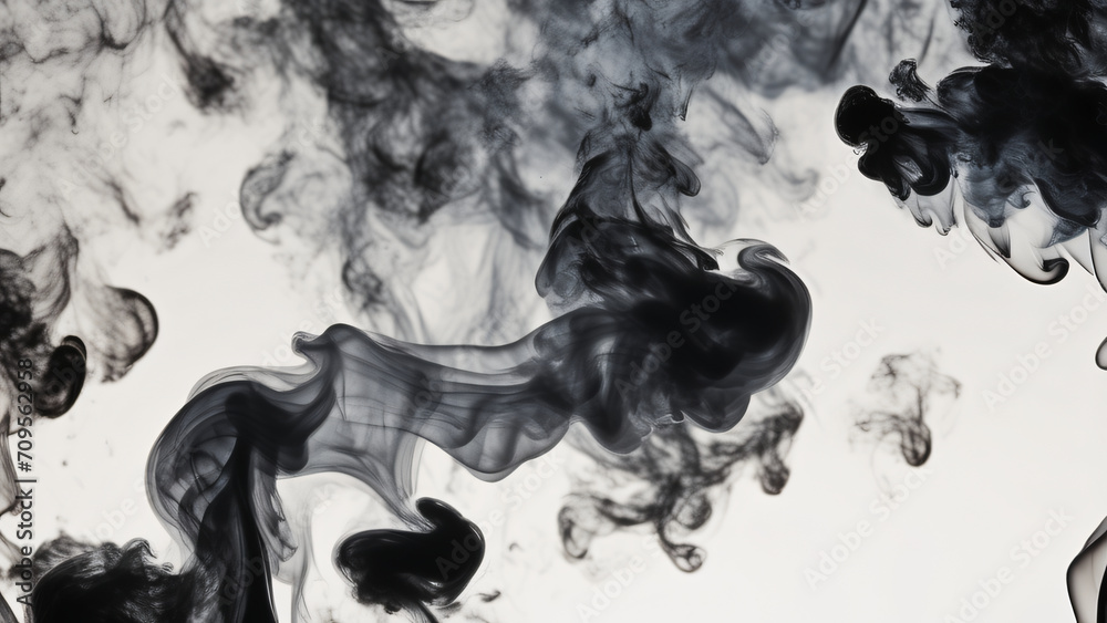 Fototapeta premium black smoke on white background
