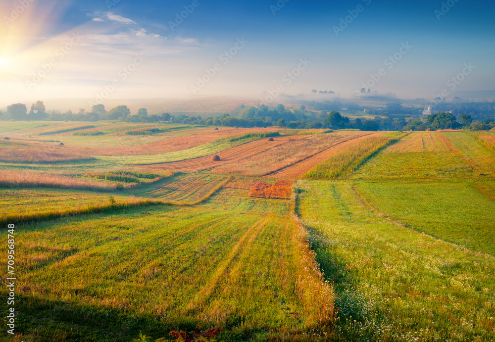 Obraz premium Spectacular summer sunrise on the Ukrainian countryside. Bright morning scene of fields of wheat and corn, Ternopil outskirts location, Ukraine, Europe. Beauty of countryside concept background..